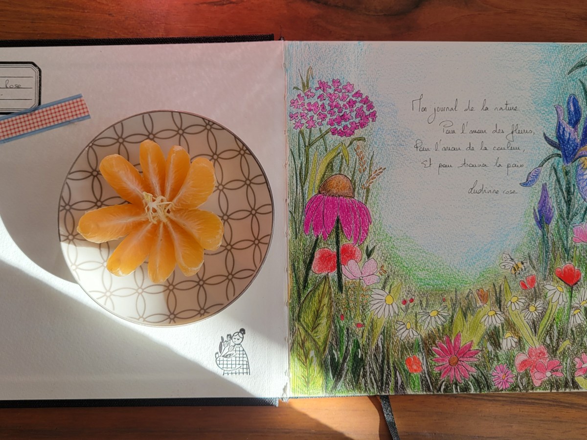 Rendez vous avec l&rsquo;ombre et la&nbsp;lumière